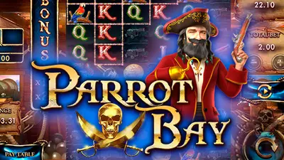 parrot bay